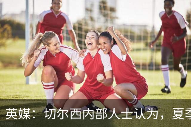 英媒：切尔西内部人士认为，夏季转会窗口的操作堪称巨大成功